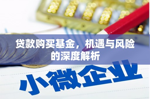 林西贷款购买基金，机遇与风险的深度解析