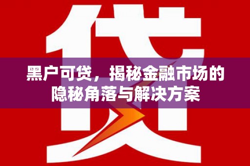 林西黑户可贷，揭秘金融市场的隐秘角落与解决方案