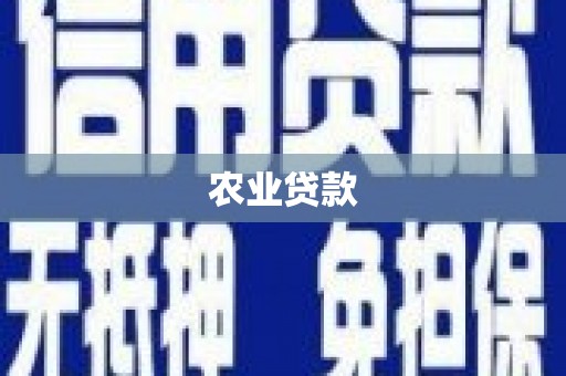 林西农业贷款