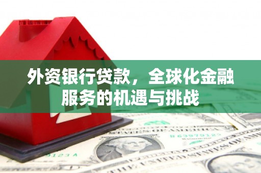 林西外资银行贷款，全球化金融服务的机遇与挑战