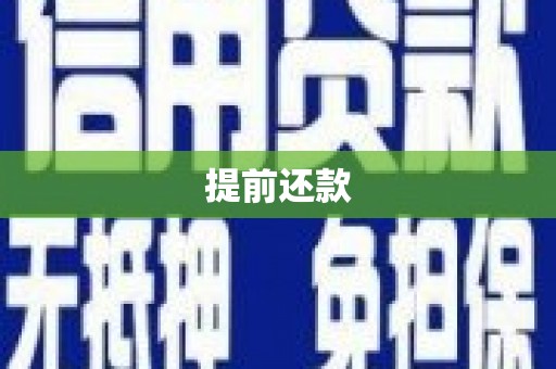 林西提前还款