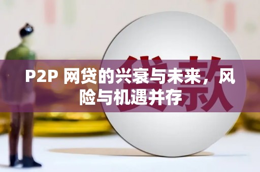 林西P2P 网贷的兴衰与未来，风险与机遇并存