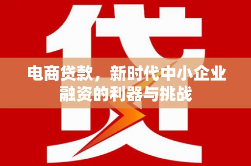 林西电商贷款，新时代中小企业融资的利器与挑战