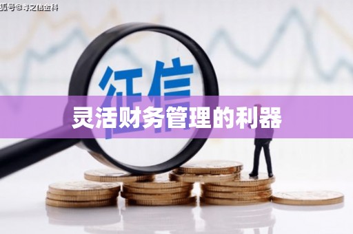 林西灵活财务管理的利器