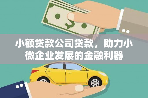 林西小额贷款公司贷款，助力小微企业发展的金融利器