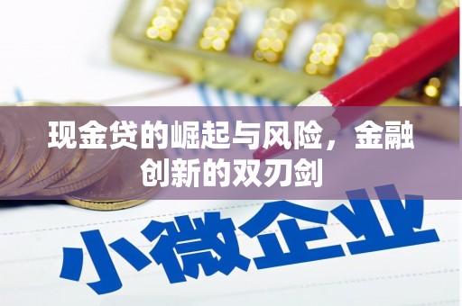 林西现金贷的崛起与风险，金融创新的双刃剑