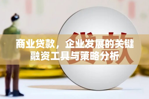 林西商业贷款，企业发展的关键融资工具与策略分析