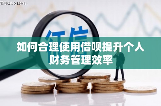 林西如何合理使用借呗提升个人财务管理效率