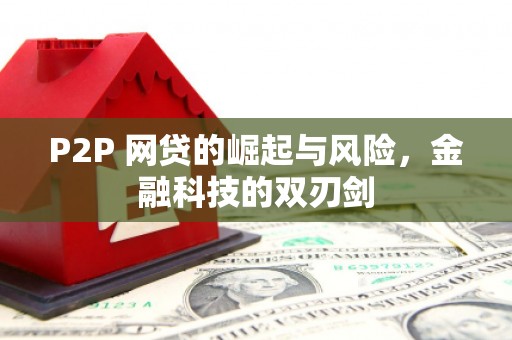 林西P2P 网贷的崛起与风险，金融科技的双刃剑