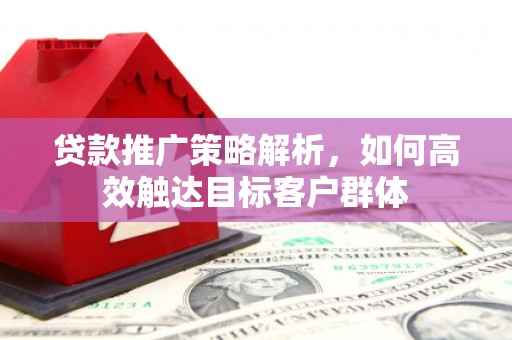 林西贷款推广策略解析，如何高效触达目标客户群体