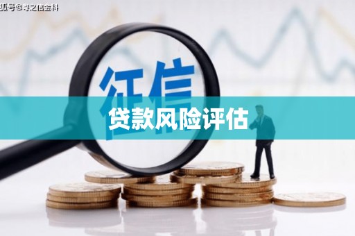 林西贷款风险评估