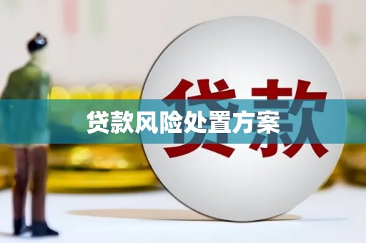 林西贷款风险处置方案