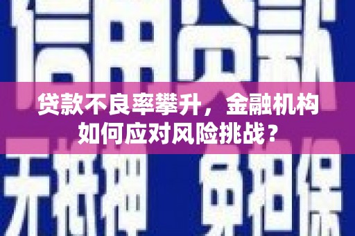 林西贷款不良率攀升，金融机构如何应对风险挑战？