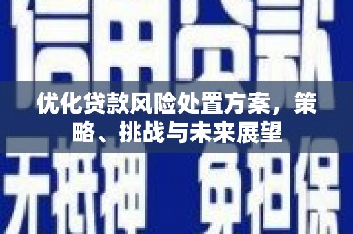 林西优化贷款风险处置方案，策略、挑战与未来展望