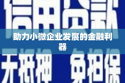 林西助力小微企业发展的金融利器