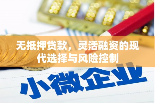林西无抵押贷款，灵活融资的现代选择与风险控制