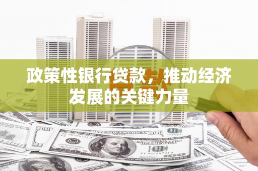 林西政策性银行贷款，推动经济发展的关键力量