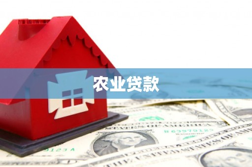 林西农业贷款