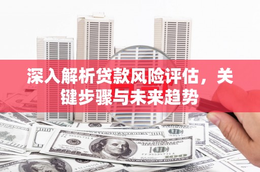 林西深入解析贷款风险评估，关键步骤与未来趋势