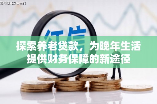 林西探索养老贷款，为晚年生活提供财务保障的新途径