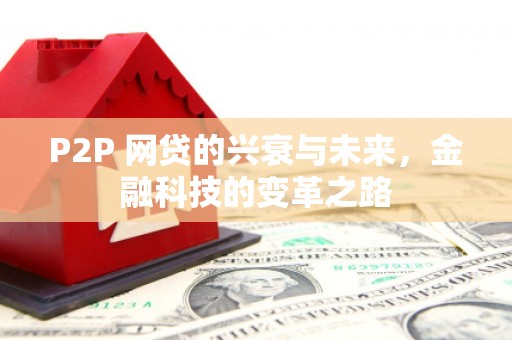 林西P2P 网贷的兴衰与未来，金融科技的变革之路