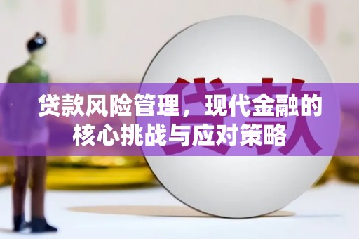 林西贷款风险管理，现代金融的核心挑战与应对策略