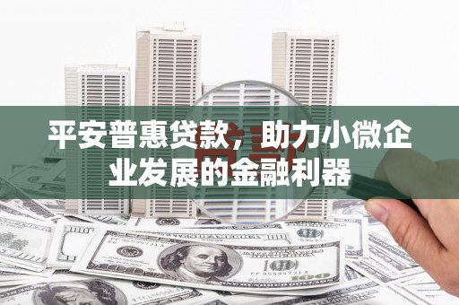 林西平安普惠贷款，助力小微企业发展的金融利器