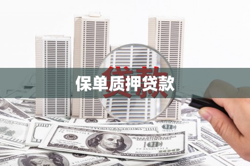 林西保单质押贷款