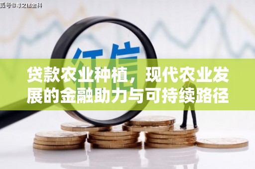 林西贷款农业种植，现代农业发展的金融助力与可持续路径