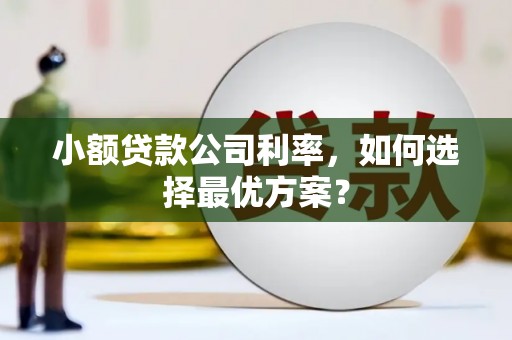 林西小额贷款公司利率，如何选择最优方案？