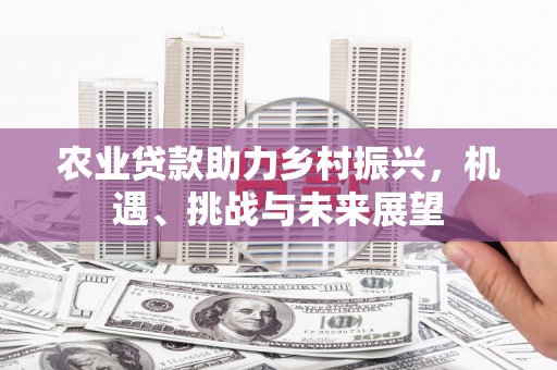 林西农业贷款助力乡村振兴，机遇、挑战与未来展望