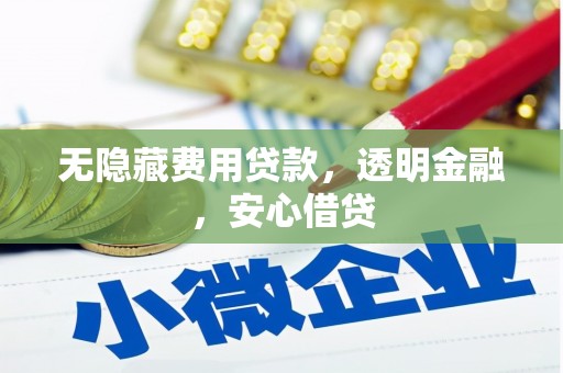 林西无隐藏费用贷款，透明金融，安心借贷