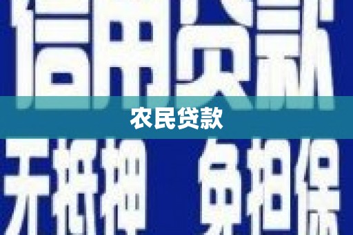 林西农民贷款