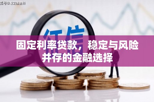 林西固定利率贷款，稳定与风险并存的金融选择