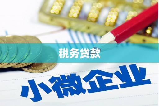 林西税务贷款