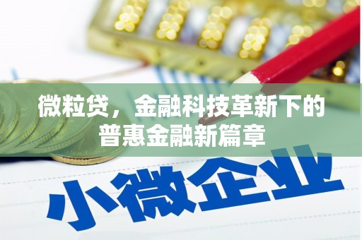 林西微粒贷，金融科技革新下的普惠金融新篇章
