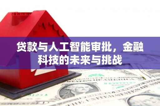 林西贷款与人工智能审批，金融科技的未来与挑战
