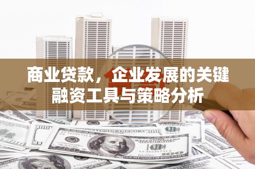 林西商业贷款，企业发展的关键融资工具与策略分析