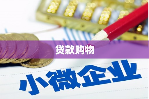 林西贷款购物