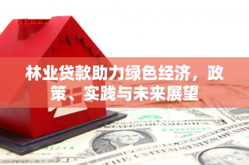 林西林业贷款助力绿色经济，政策、实践与未来展望