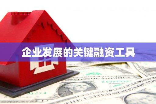 林西企业发展的关键融资工具