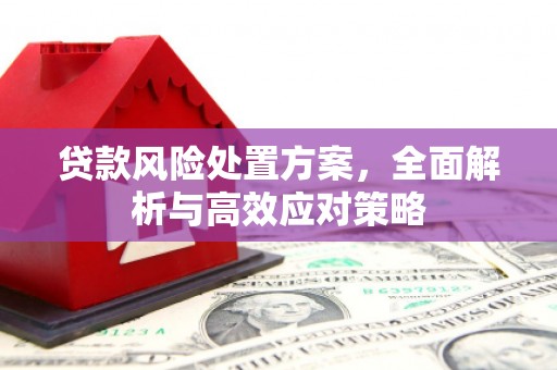 林西贷款风险处置方案，全面解析与高效应对策略