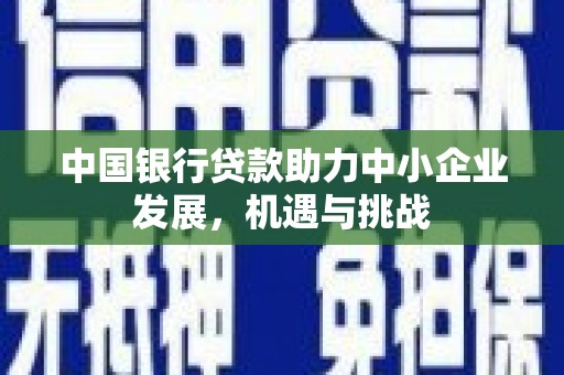 林西中国银行贷款助力中小企业发展，机遇与挑战