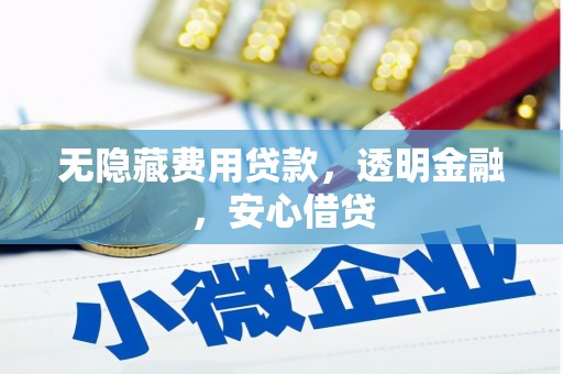 林西无隐藏费用贷款，透明金融，安心借贷