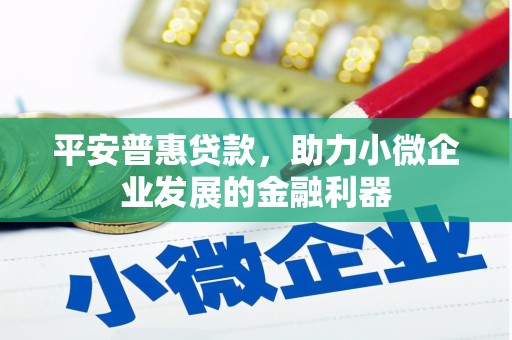 林西平安普惠贷款，助力小微企业发展的金融利器