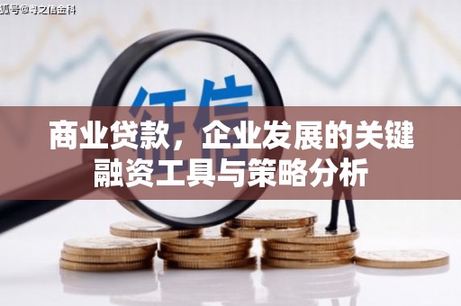 林西商业贷款，企业发展的关键融资工具与策略分析