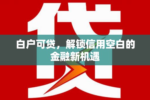 林西白户可贷，解锁信用空白的金融新机遇