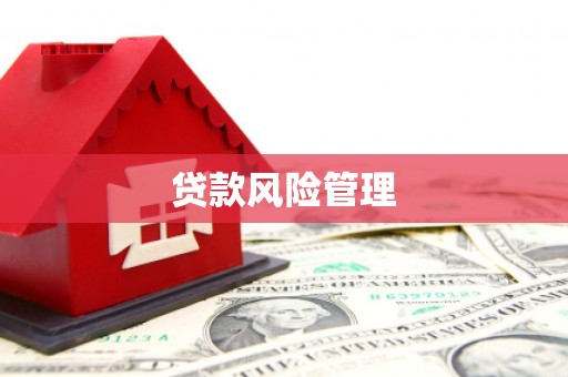 林西贷款风险管理