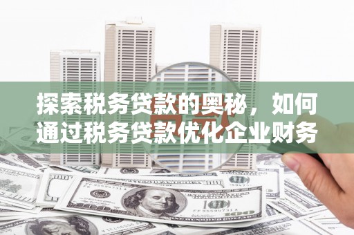 林西探索税务贷款的奥秘，如何通过税务贷款优化企业财务