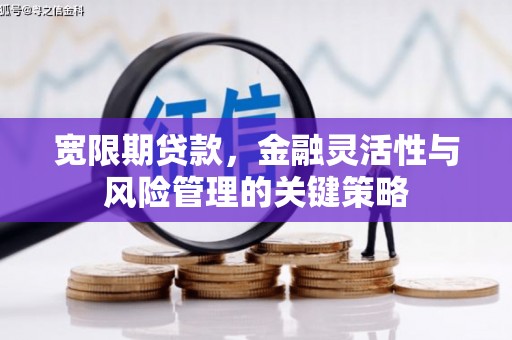 林西宽限期贷款，金融灵活性与风险管理的关键策略